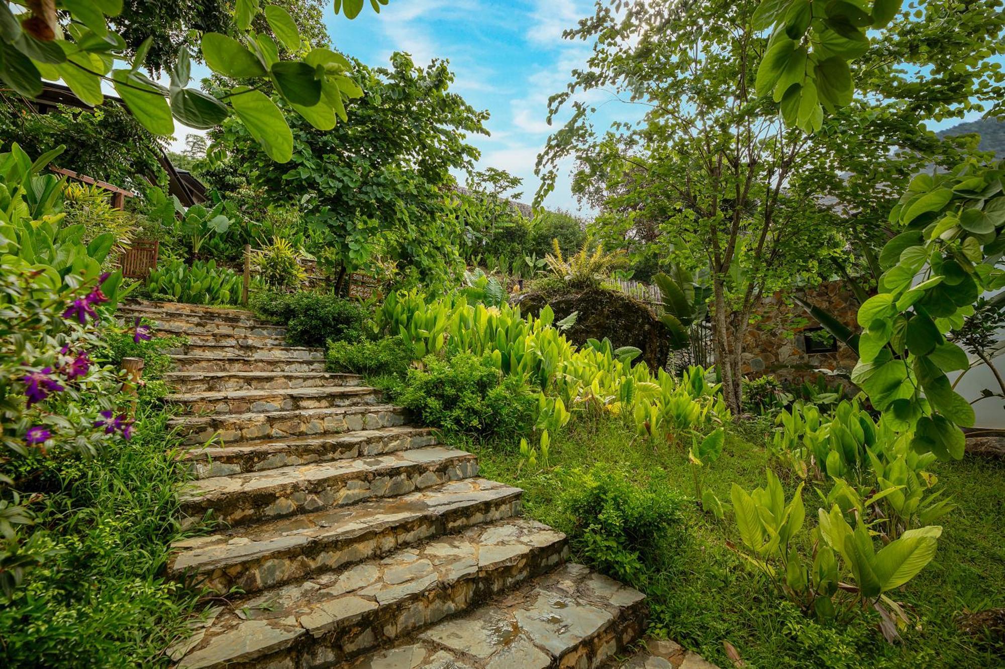 Pu Luong Bocbandi Retreat Hotell Eksteriør bilde